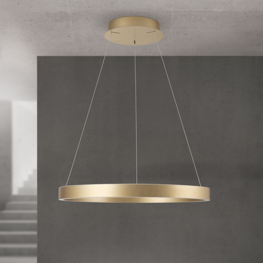 Orion - Dimmbare LED-Pendelleuchte an Seil KOLK LED/60W/230V 2700/3000/4000K Ø 60 cm gold