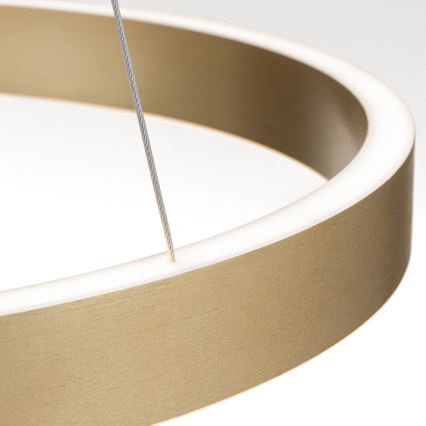 Orion - Dimmbare LED-Pendelleuchte an Seil KOLK LED/60W/230V 2700/3000/4000K Ø 60 cm gold