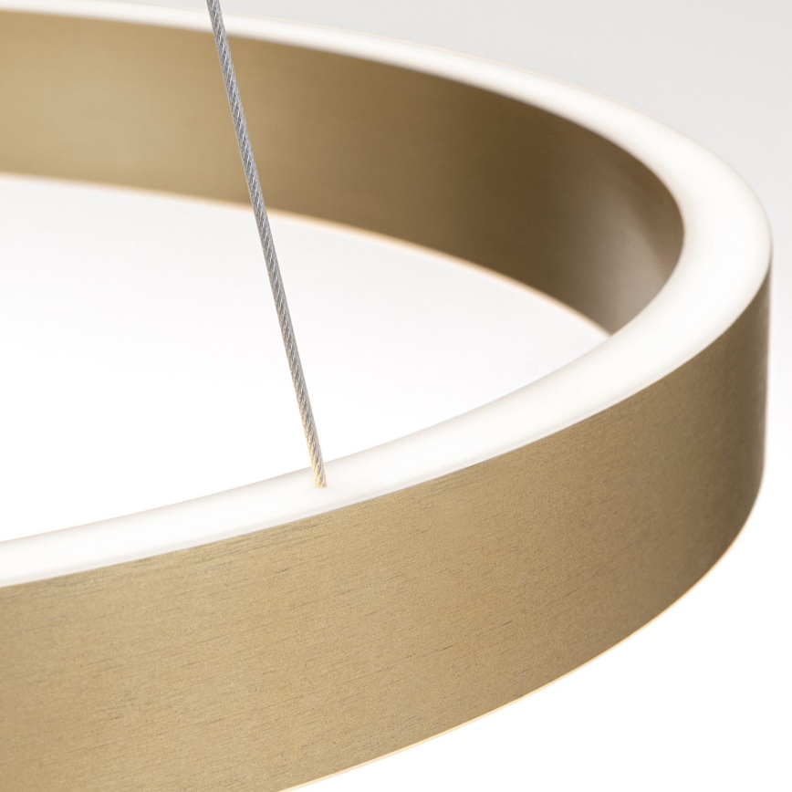 Orion - Dimmbare LED-Pendelleuchte an Seil KOLK LED/60W/230V 2700/3000/4000K Ø 60 cm gold