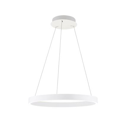 Orion - LED dimmbare Pendelleuchte mit Seilaufhängung KOLK LED/60W/230V 2700/3000/4000K Ø 60 cm weiß