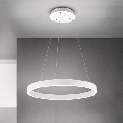 Orion - LED dimmbare Pendelleuchte mit Seilaufhängung KOLK LED/60W/230V 2700/3000/4000K Ø 60 cm weiß
