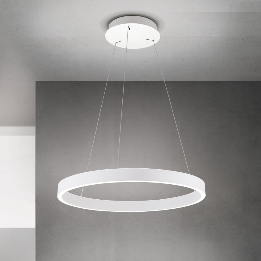 Orion - LED dimmbare Pendelleuchte mit Seilaufhängung KOLK LED/60W/230V 2700/3000/4000K Ø 60 cm weiß