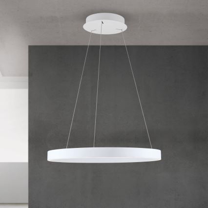 Orion - LED dimmbare Pendelleuchte mit Seilaufhängung KOLK LED/60W/230V 2700/3000/4000K Ø 60 cm weiß