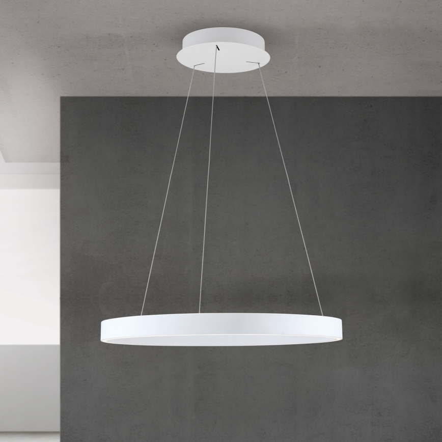 Orion - LED dimmbare Pendelleuchte mit Seilaufhängung KOLK LED/60W/230V 2700/3000/4000K Ø 60 cm weiß
