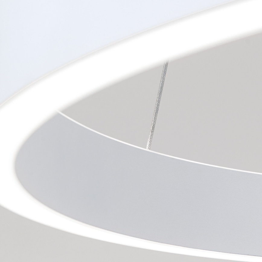 Orion - LED dimmbare Pendelleuchte mit Seilaufhängung KOLK LED/60W/230V 2700/3000/4000K Ø 60 cm weiß