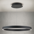 Orion - LED-dimmbare Pendelleuchte an Seil KOLK LED/60W/230V 2700/3000/4000K Ø 60 cm schwarz