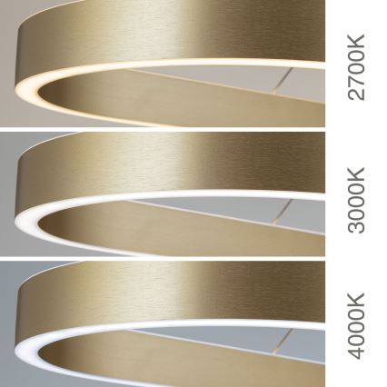 LED-Pendelleuchte mit Seilabhängung CARRARA LED/80W/230V 2700/3000/4000K goldfarben