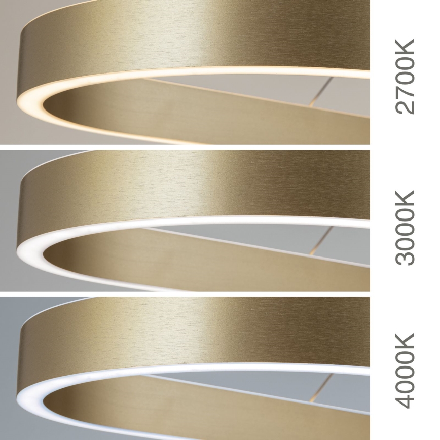 LED-Pendelleuchte mit Seilabhängung CARRARA LED/80W/230V 2700/3000/4000K goldfarben