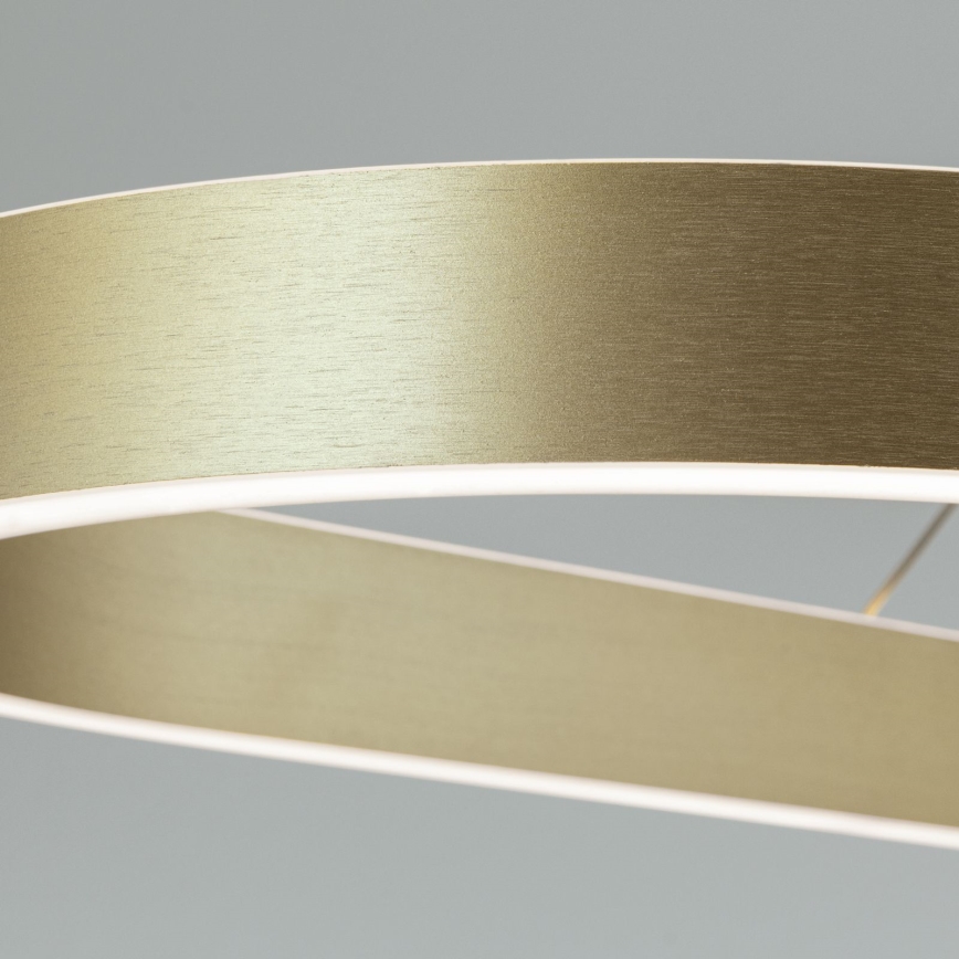 LED-Pendelleuchte mit Seilabhängung CARRARA LED/80W/230V 2700/3000/4000K goldfarben