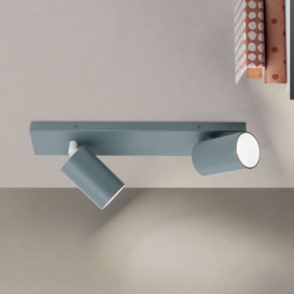 Spotleuchte PENN 2xGU10/13W/230V grau