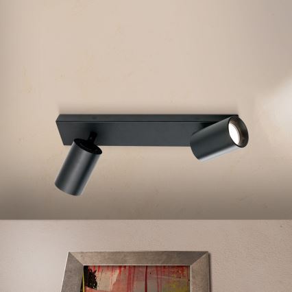 Spotleuchte SEAN 2xGU10/13W/230V schwarz