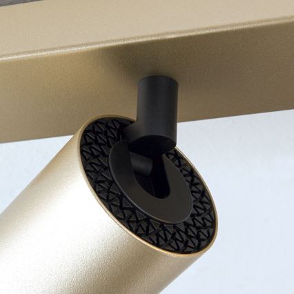 Spotleuchte SEAN 4xGU10/13W/230V goldfarben