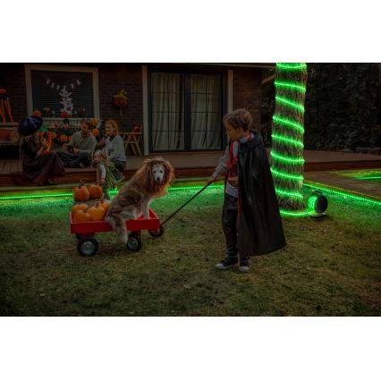 Osram - LED RGB dimmbarer Außen-LED-Streifen FLEX 15m LED/100W/230V IP65 + Fernbedienung