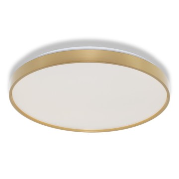 Osram - LED-Deckenleuchte CEILING LUXO LED/36W/230V Ø 49 cm Gold