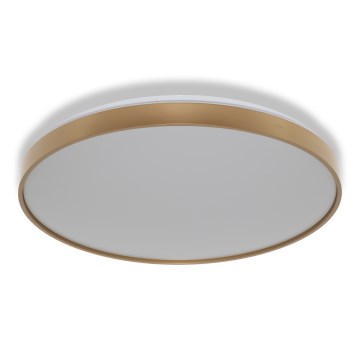 Osram - LED-Deckenleuchte CEILING LUXO LED/60W/230V Ø 56 cm goldfarben