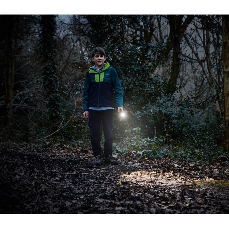 Osram - LED-dimmbare Taschenlampe LEDINSPECT TORCH 350 ESSENTIAL LED/4W/2xAAA IP44