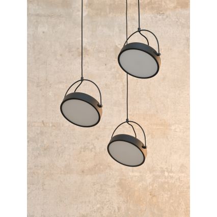 Osram - LED-Hängeleuchte mit Seilaufhängung DECOR PUCK 3xLED/12W/230V CRI 90 schwarz