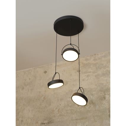 Osram - LED-Pendelleuchte an Kabel DECOR PUCK 3xLED/12W/230V schwarz