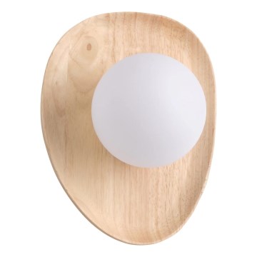 Osram - Wandleuchte WOOD NEST 1xG9/5W/230V Gummibaum