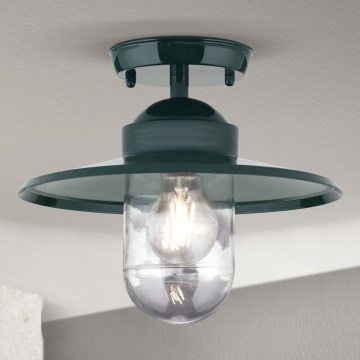Outdoor-Anbauleuchte EDWARD 1xE27/60W/230V IP44 grün