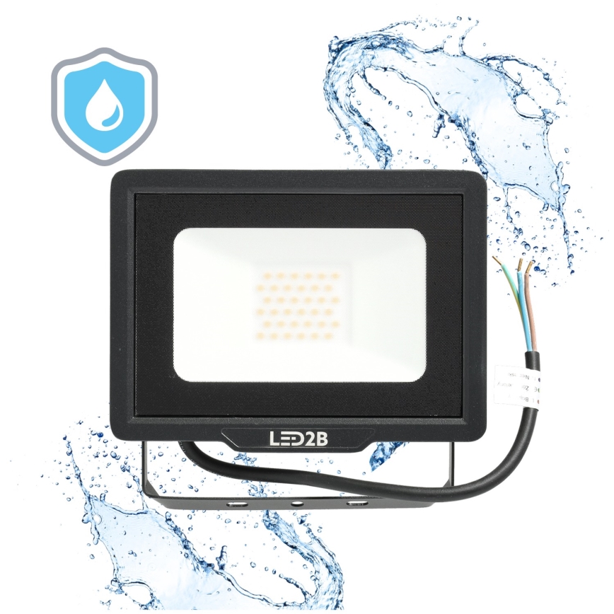 Outdoor-LED-Strahler LED/30W/230V 6500K IP65