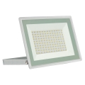 Outdoor-LED-Strahler NOCTIS LUX 3 LED/100W/230V 4000K IP65 weiß
