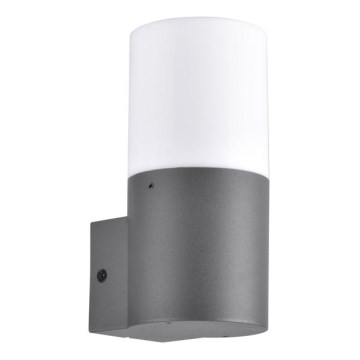 Outdoor-Wandleuchte DALLAS 1xE27/12W/230V IP44 anthrazit