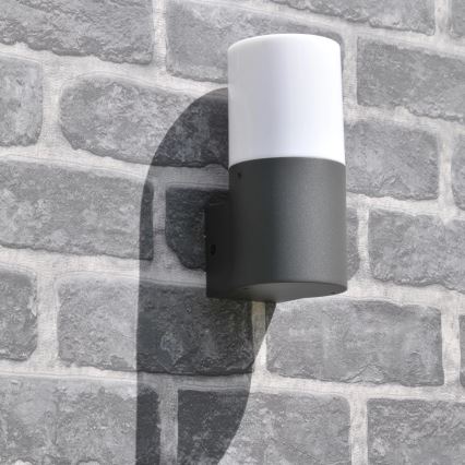 Outdoor-Wandleuchte DALLAS 1xE27/12W/230V IP44 Graphit