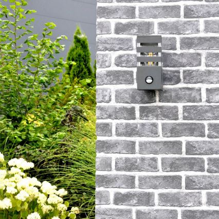 Outdoor-Wandleuchte mit Sensor TEKSAS 1xE27/12W/230V IP44 anthrazit