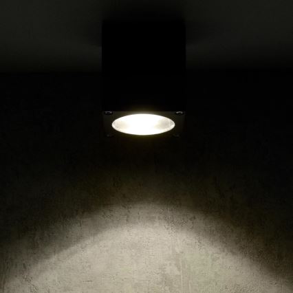 Outdoor-Wandleuchte MORRIS 1xGU10/35W/230V IP54