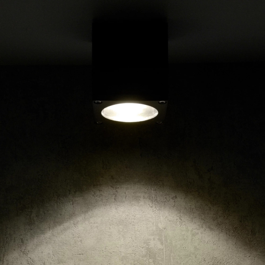 Outdoor-Wandleuchte MORRIS 1xGU10/35W/230V IP54