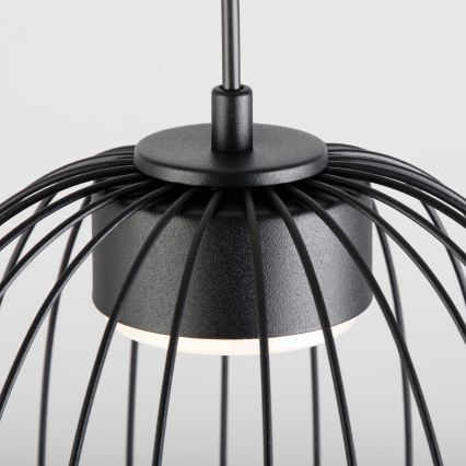 OVELLA Pendelleuchte an Kabel 1xGX53/10W/230V Ø 25 cm schwarz