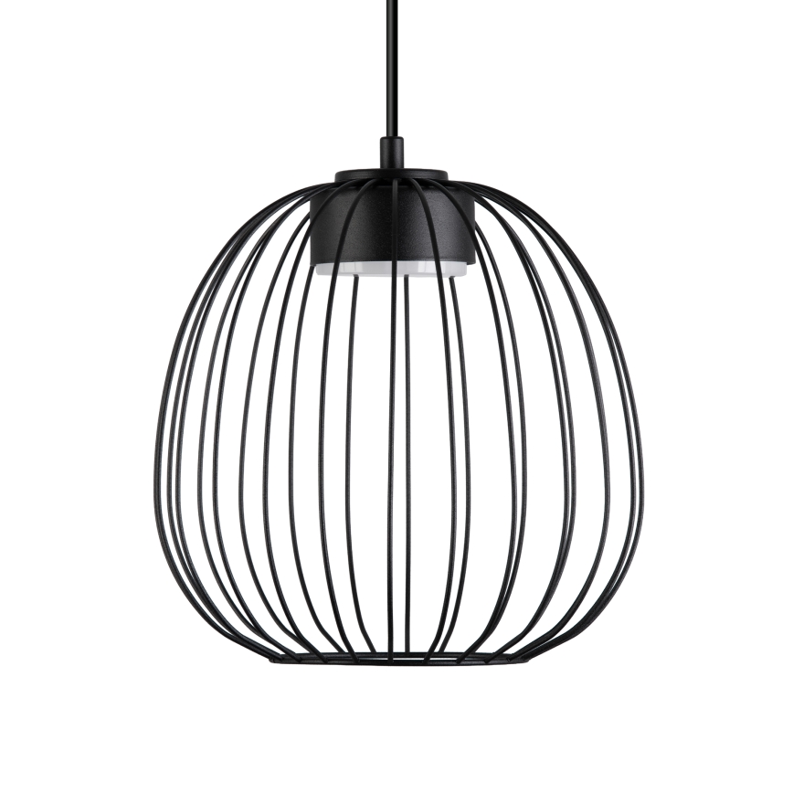 OVELLA Pendelleuchte an Kabel 1xGX53/10W/230V Ø 25 cm schwarz