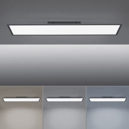Paul Neuhaus 16533-16-O - LED Dimmbares Aufbaupanel FLAT LED/24W/230V 2700-5000K schwarz + Fernbedienung
