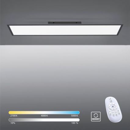 Paul Neuhaus 16533-16-O - LED Dimmbares Aufbaupanel FLAT LED/24W/230V 2700-5000K schwarz + Fernbedienung