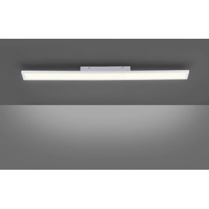 Paul Neuhaus 16537-16-O - LED Dimmbares Aufbaupaneel FLAT LED/21W/230V + Fernbedienung