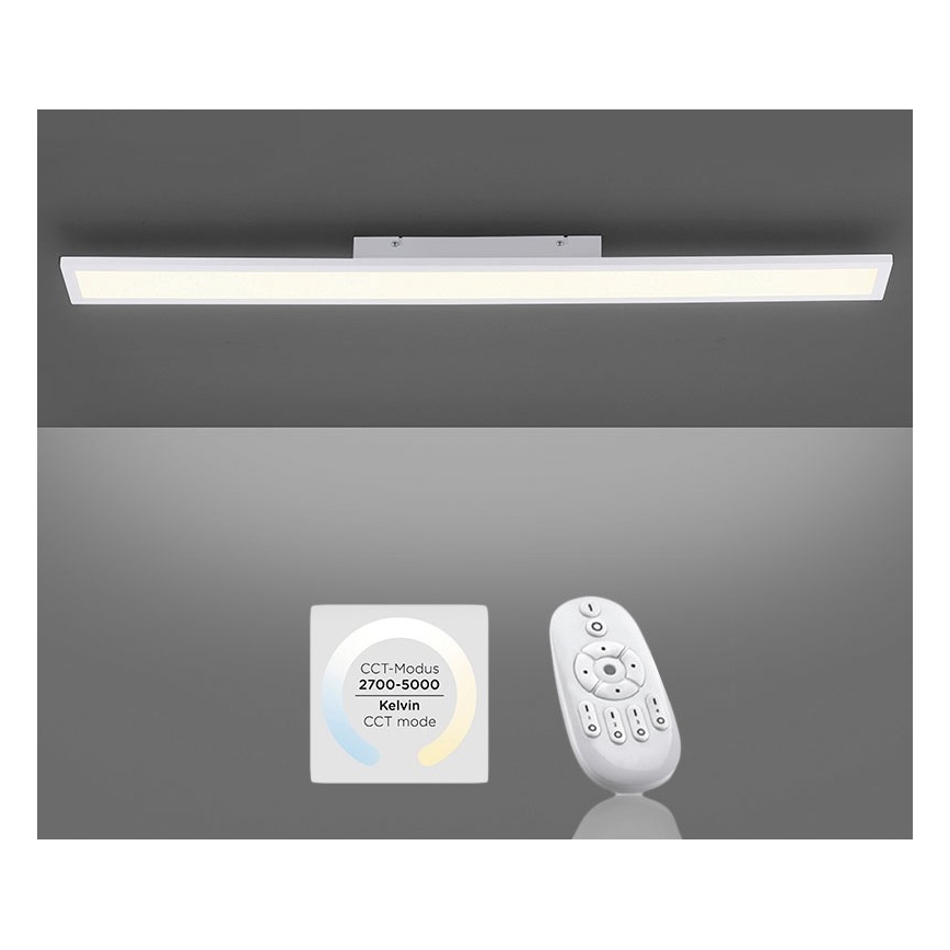 Paul Neuhaus 16537-16-O - LED Dimmbares Aufbaupaneel FLAT LED/21W/230V + Fernbedienung