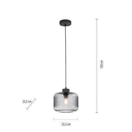 Paul Neuhaus 2005-25 - Hängeleuchte BOLETUS 1xE27/10W/230V d 23,5 cm grau