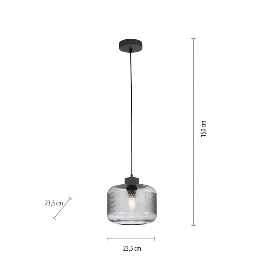 Paul Neuhaus 2005-25 - Hängeleuchte BOLETUS 1xE27/10W/230V d 23,5 cm grau