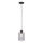 Paul Neuhaus 2006-25 - Hängeleuchte BOLETUS 1xE27/10W/230V d 14 cm grau