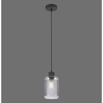Paul Neuhaus 2006-25 - Hängeleuchte BOLETUS 1xE27/10W/230V d 14 cm grau