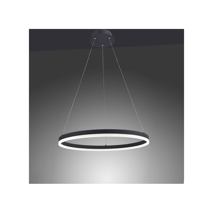 Paul Neuhaus 2382-13 - LED dimmbarer Kronleuchter an Schnur TITUS LED/38,5W/230V
