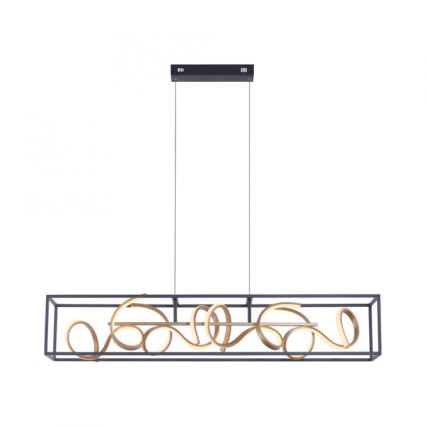 Paul Neuhaus 2416-18 - LED Dimmbare Hängeleuchte SELINA 4xLED/10,2W/230V
