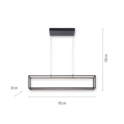 Paul Neuhaus 2441-18 - Dimmbarer LED-Kronleuchter an Schnur CONTURA 4xLED/8W/230V