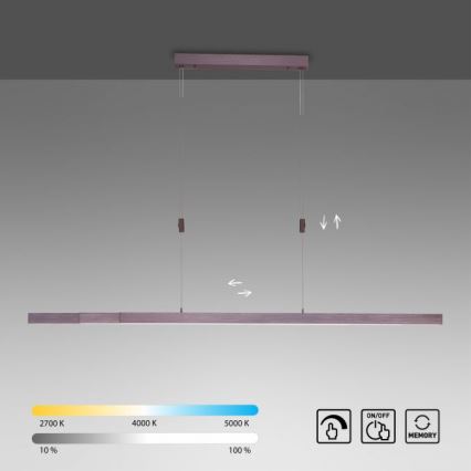 Paul Neuhaus 2568-24 - Dimmbare LED-Hängeleuchte an Schnur ADRIANA LED/14W/230V 2700-5000K