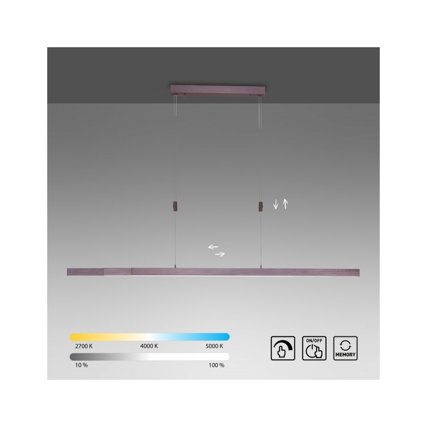 Paul Neuhaus 2568-24 - Dimmbare LED-Hängeleuchte an Schnur ADRIANA LED/14W/230V 2700-5000K
