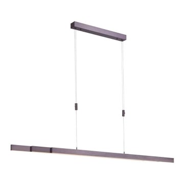 Paul Neuhaus 2568-24 - Dimmbarer LED-Kronleuchter an Schnur ADRIANA LED/14W/230V