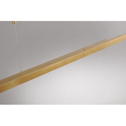 Paul Neuhaus 2568-60 - Dimmbare LED-Hängeleuchte an Schnur ADRIANA LED/14W/230V  2700-5000K Messing