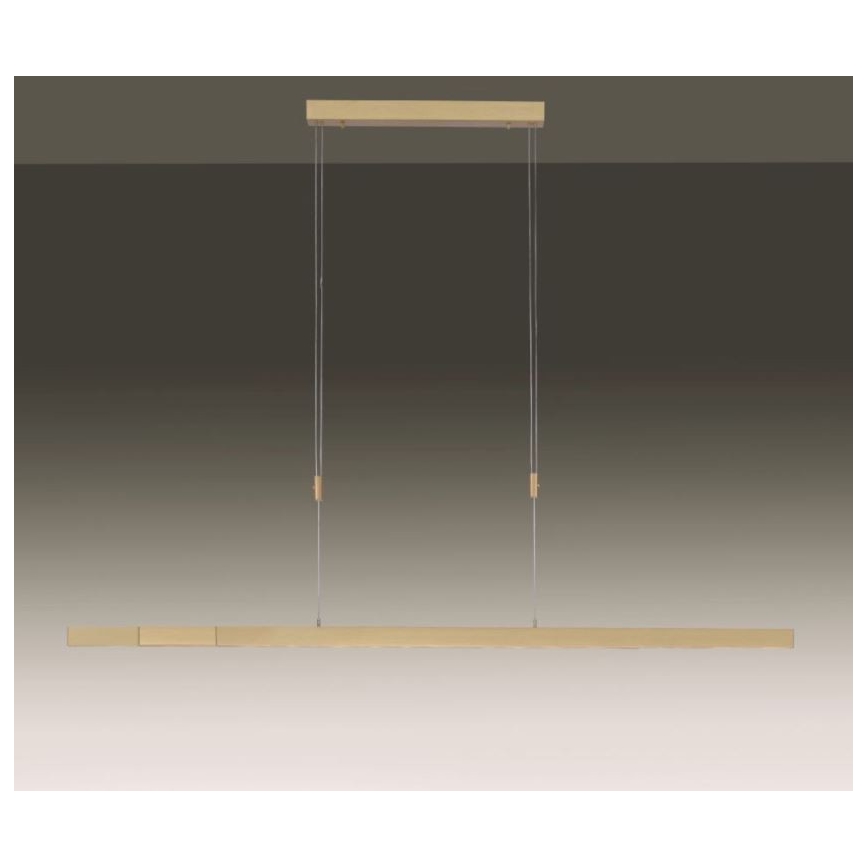 Paul Neuhaus 2568-60 - Dimmbare LED-Hängeleuchte an Schnur ADRIANA LED/14W/230V  2700-5000K Messing