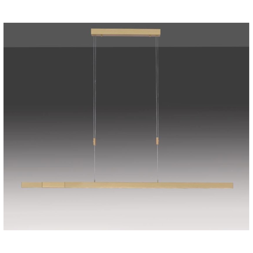 Paul Neuhaus 2568-60 - Dimmbare LED-Hängeleuchte an Schnur ADRIANA LED/14W/230V  2700-5000K Messing
